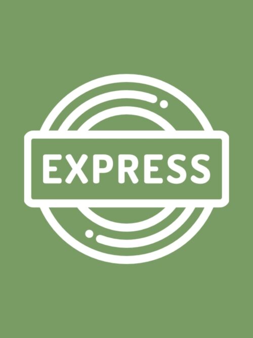 Express Delivery