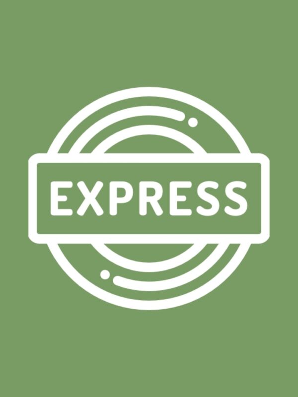 Express Delivery